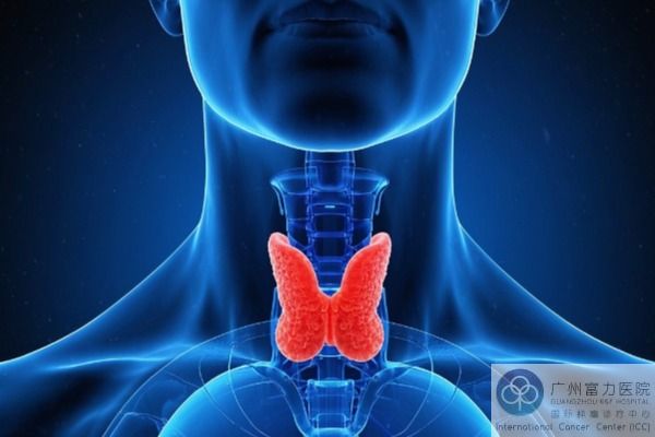 甲状腺癌.jpg