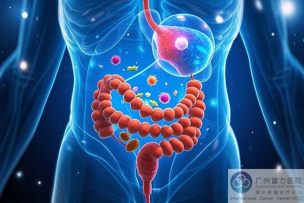 肠道菌群 (1).jpg