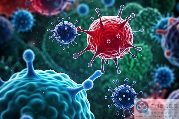 NK细胞生物 (1).jpg