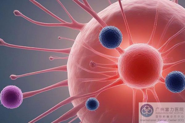 免疫检查 (1).jpg