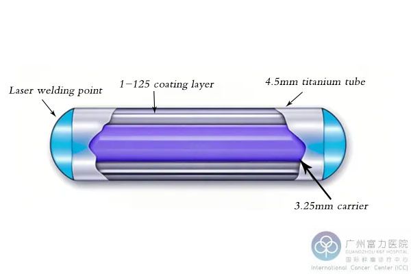 碘125粒子植入术 (2).jpg